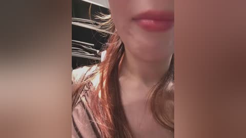 lillukatten free recording from 2026-02-12 00:10:00