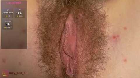 A close-up video of a person's vulva, featuring detailed natural pubic hair and pinkish labia, with a digital overlay displaying temperature and health indicators. The skin tone is light.