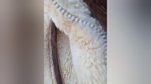 A close-up video of a human hand with a detailed focus on the fingernails. The nails are long and slightly curved, with visible ridges and a natural pinkish hue. The skin around the nails appears slightly rough and textured.