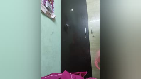 Media: A video of a narrow, dimly lit corridor with a black door on the right and a light green wall on the left. A pink plastic bucket is visible in the background.