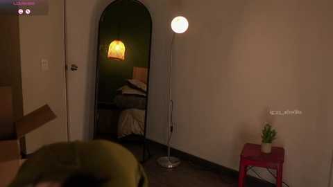 Video of a dimly lit bedroom with a tall, spherical floor lamp, an open doorway revealing a bed with a lampshade, and a small red table with a potted plant.