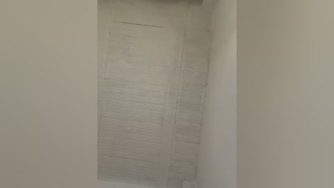 aly_golden_ free recording from 2026-02-13 01:48:00