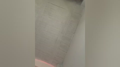 aly_golden_ free recording from 2026-02-13 01:48:00