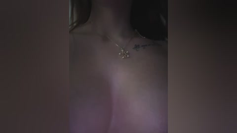 anita_vega free recording from 2026-02-13 07:24:00