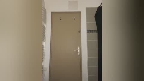 Media: Video of a narrow hallway with beige door, white walls, and a partially visible black curtain on the right.