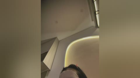 meow_meo free recording from 2026-02-13 07:24:00