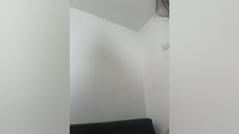 zendaa_ free recording from 2026-02-13 01:48:00