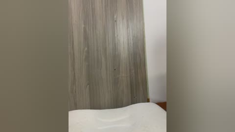 aley_y free recording from 2026-02-15 00:02:00