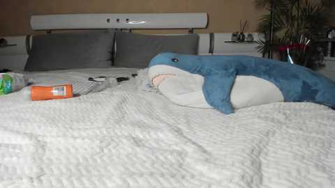 diamond_d_ free recording from 2026-02-14 00:02:00