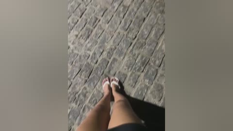 joel852 free recording from 2026-02-14 00:49:00