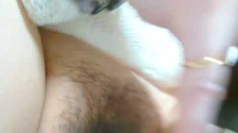 liliyrisacha_n free recording from 2026-02-14 00:04:00