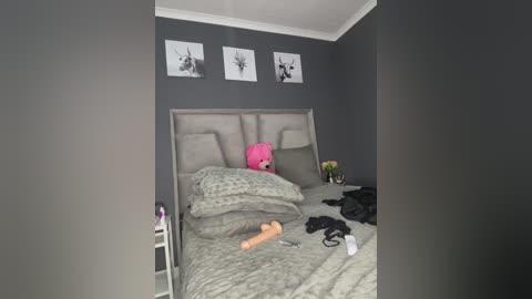 Video of a minimalist, modern bedroom with grey walls, a grey upholstered headboard, a pink teddy bear, and three monochromatic deer prints. The bed has a grey quilt and scattered clothes.
