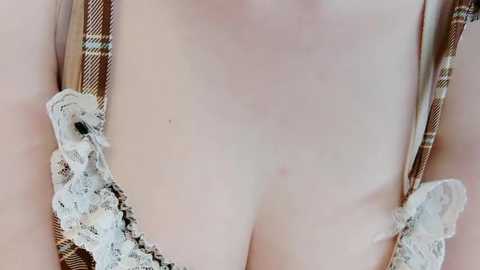 A close-up video of a fair-skinned woman's chest in a revealing, lacy, plaid-patterned bra with white lace detailing and a small bow. The background is out of focus, emphasizing the bra's intricate design.