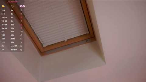 Video of a small, angled skylight with wooden frame and white blinds partially open, casting soft light into a light beige interior room. A digital interface with a list of options is visible in the top left corner.