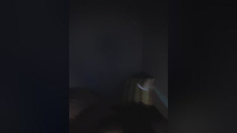 A dimly lit video captures a dark, shadowy room with indistinct figures and indeterminate objects, creating a sense of mystery and unease. The image is heavily blurred, making it difficult to discern specific details.