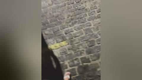 joel852 free recording from 2026-02-15 01:10:00