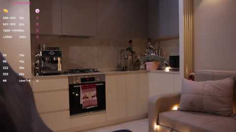 Video of a modern, cozy kitchen with light beige cabinets, stainless steel appliances, and a plush beige sofa. A towel with a red and white pattern hangs on the oven door.