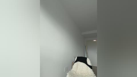 streetdoll free recording from 2026-02-15 00:11:00