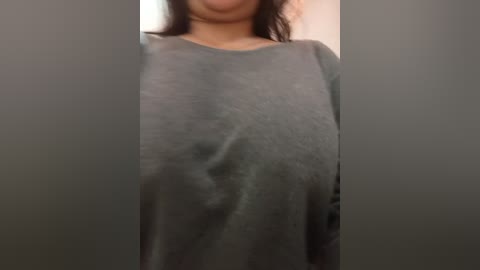 Video of a woman in a gray, long-sleeved shirt, partially obscured by vertical gray bars, revealing her chest and shoulders. The background is indistinct.