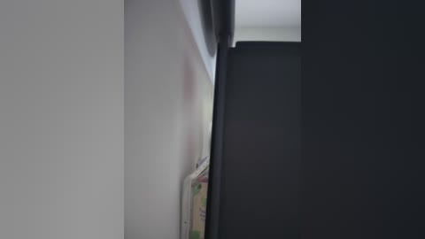 saorii_kiido free recording from 2026-02-16 00:50:00