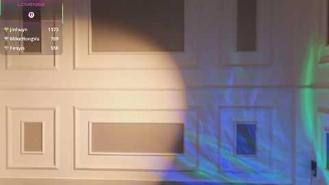 Video of a beige garage door with a colorful, blurry light flare in the background. The door has rectangular windows and text overlays with user details and timestamp.