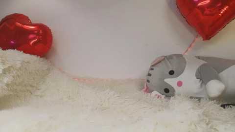 __miray__ free recording from 2026-02-17 00:09:00