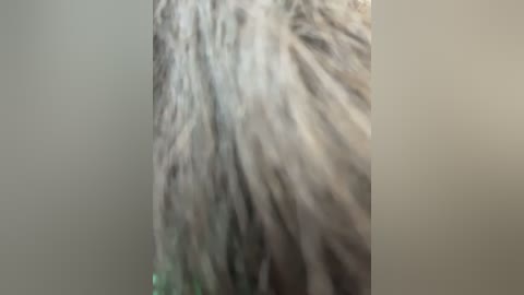 andreamood free recording from 2026-02-17 00:48:00