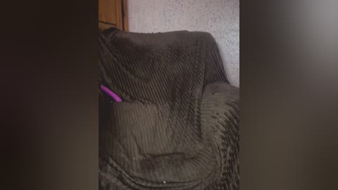 Video of a dark brown, textured couch with a purple cushion, partially covered by a black, textured blanket. The background shows a textured, light-colored wall and part of a wooden panel.