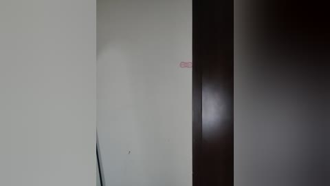 A video captures a bare, beige wall with a slight crease and a small, faded pink sticker in the corner. The image features minimalistic, utilitarian design.