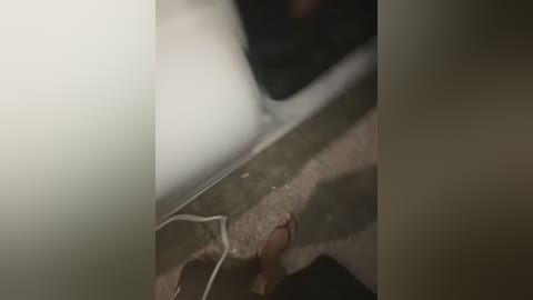 joel852 free recording from 2026-02-17 00:48:00