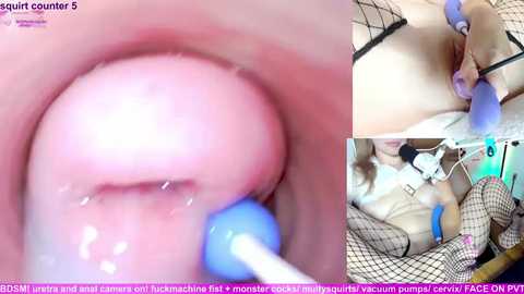 marybrook1 free recording from 2026-02-17 00:48:00