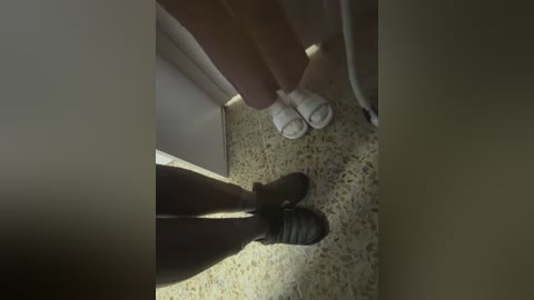 roouse free recording from 2026-02-18 00:29:00