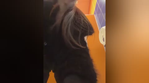 ttixmila free recording from 2026-02-17 00:09:00