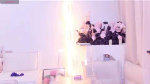 yr_kitten_333 free recording from 2026-02-17 00:14:00