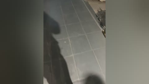 alyssafoxx_ free recording from 2026-02-19 00:20:00