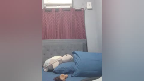 Video of a cozy, dimly lit room with a blue bed, plush toys, and a pink curtain covering the window.