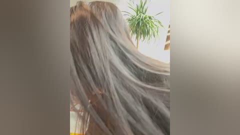 carlin_yiyi free recording from 2026-02-18 00:11:00