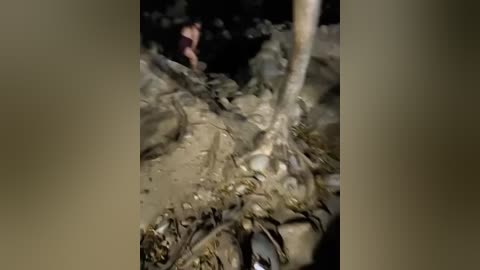 datoka_adrenaline free recording from 2026-02-18 00:11:00