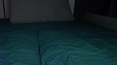 Media: Video of a dark, dimly lit bedroom featuring a neatly made bed with turquoise bedding. The bed's headboard is partially visible in the background, with a soft, muted gray pillow. The overall ambiance is calm and serene, with a focus on the smooth, undisturbed bedding.