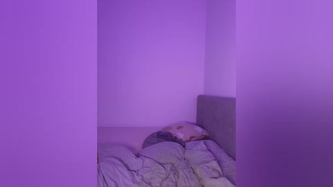 A video depicting a dimly lit, minimalist bedroom with a bed covered in a crumpled, light-colored blanket. The room is bathed in a soft, purple hue, creating a serene and slightly mysterious atmosphere.