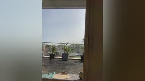 Video of a balcony with wooden flooring, potted plants, and a clear view of a distant coastal landscape under a cloudy sky.