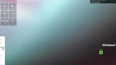 A digital screenshot of a computer interface featuring a blurred, green-tinted background, a \"Whitelee\" logo, and a green padlock icon.