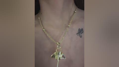 anita_vega free recording from 2026-02-19 00:39:00