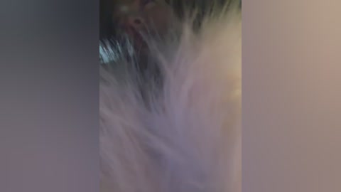 daddyslut2_0 free recording from 2026-02-20 00:09:00