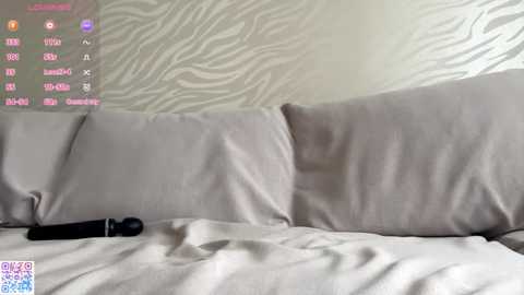 Video of a gray and white zebra-striped wall with a bed in the foreground, featuring a black vibrator on the sheets.