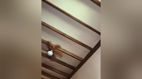 emma4xxx free recording from 2026-02-20 00:29:00