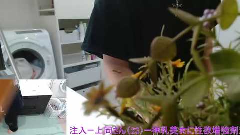 mr_genghis_khan free recording from 2026-02-19 01:41:00