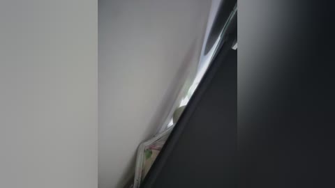 saorii_kiido free recording from 2026-02-19 00:39:00