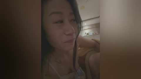Video of an Asian woman with long black hair, wearing a white top, kissing a man\u2019s erect penis in a dimly lit room with kitchen items in the background.
