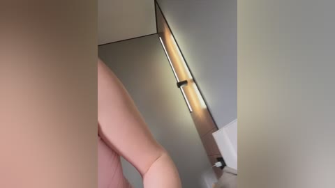 Video of a person's upper torso, with light skin, visible nipples, and a reflection of a modern bathroom with a white toilet and a vertical light fixture.